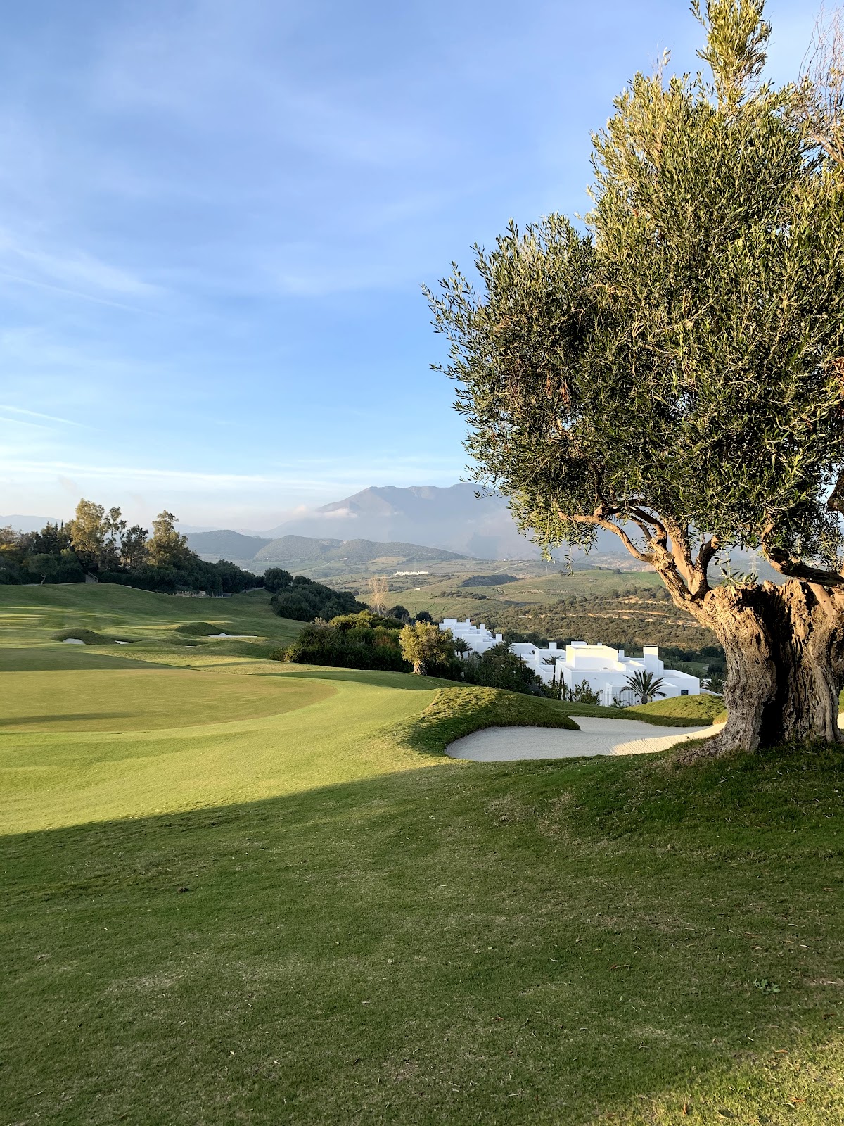 CLUB DE GOLF FINCA CORTESIN photo 5