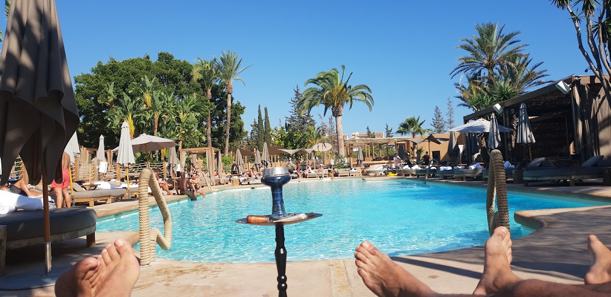 NAO Pool Club photo 4