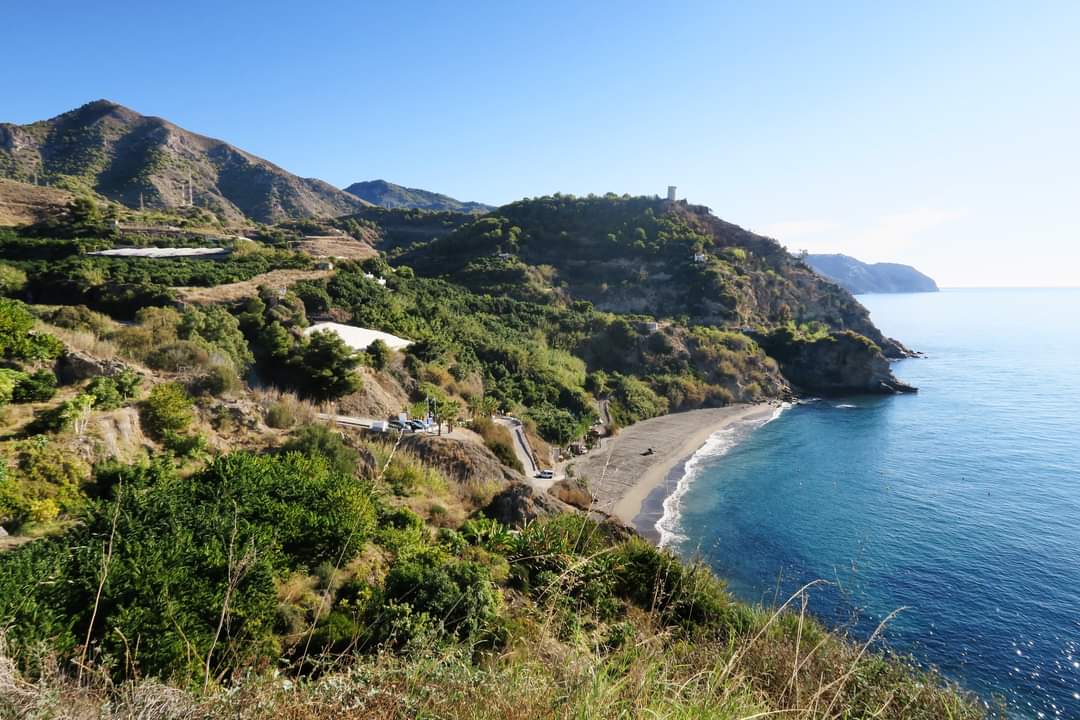 Playa de Maro photo 3