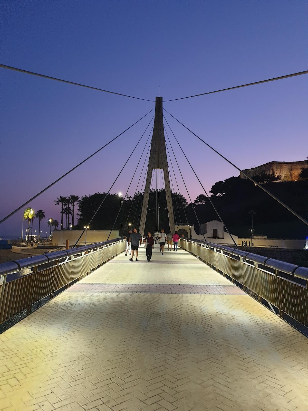 Paseo Mar�timo Rey de Espa�a photo 4